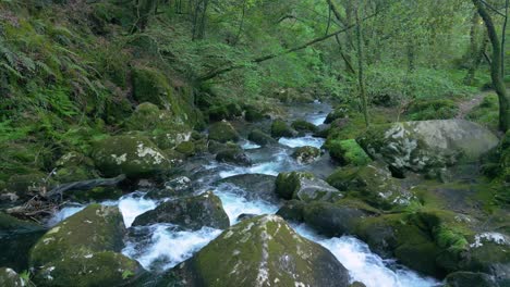 Arroyo-Del-Río-Que-Fluye-Sobre-Rocas-Cubiertas-De-Musgo-En-La-Cascada-De-Santa-Leocadia-Cerca-De-Mazaricos-En-Galicia-España