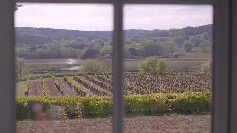 Toma-De-Establecimiento-Lento-De-Un-Viñedo-Juvenil-En-Tresques-Desde-Una-Ventana.