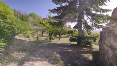 Toma-De-Establecimiento-Lento-De-Grandes-árboles-Que-Crecen-En-Un-Jardín-En-La-Campiña-Francesa