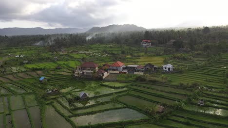 Vuelo-Aéreo-Sobre-Casas-Rodeadas-De-Campos-De-Arroz-Después-De-La-Lluvia-Con-Niebla,-Bali