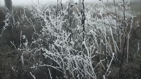 Gefrorenes,-Mit-Frost-Bedecktes-Gras-An-Einem-Kalten-Wintermorgen-In-Filmischer-Zeitlupe