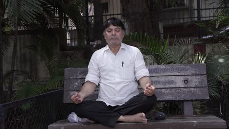 Ein-Bruder-Sitzt-Und-Macht-Yoga-In-Einem-Großen-Garten