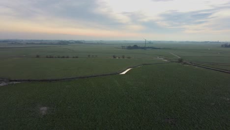 Drone-hover-flight-Over-meadows-Europe-Netherlands,-Friesland