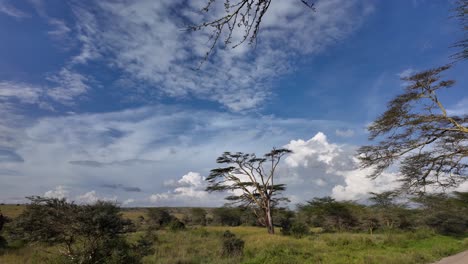 Sabana-Tranquila-Parque-Nacional-Serenidad-Kenia-Tanzania