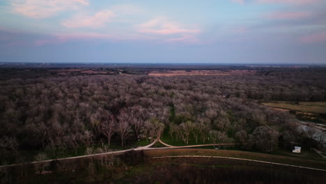 Caída-De-árboles-En-El-área-Recreativa-De-Lake-Wood-En-Texas,-EE.UU.