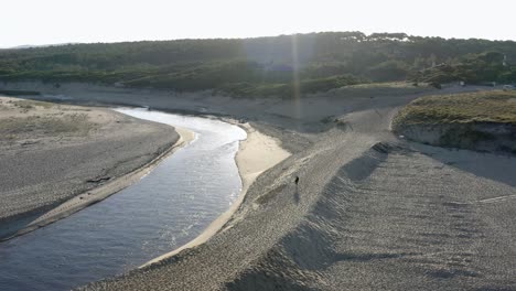 Drone-shot-of-a-surfer-heading-towards-the-ocean-:-2