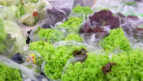 Fresh-Packed-Lettuce-in-Plastic-Market-Close-Up