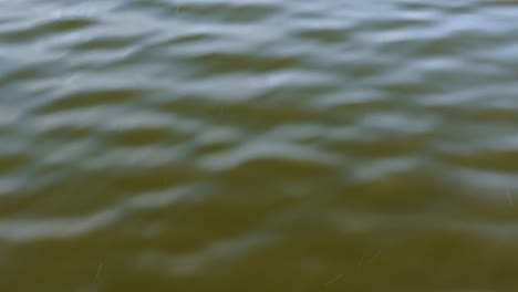 Calm-and-serene-footage-of-gentle-ripples-on-the-surface-of-a-lake