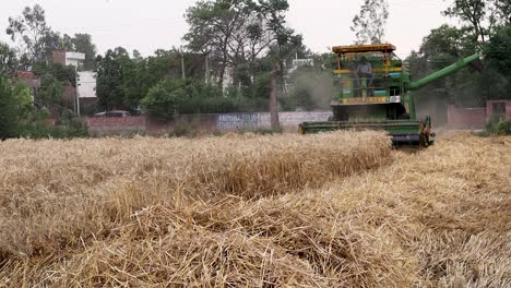 Man-Drives-Plowing-Harvesting-Machine-On-A-Big-Field-Of-Wheat-Crop,-Combine-Harvester,-Modern-Indian-Farming-Technology,-Agriculture-Industry