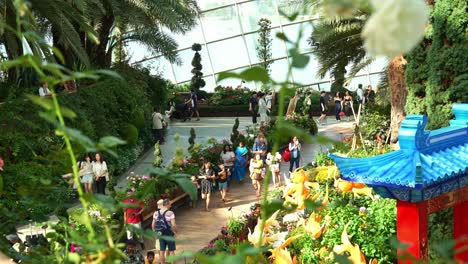 People-stroll-through-the-flower-fields,-exploring-Singapore's-renowned-tourist-spot,-the-Flower-Dome-glass-greenhouse-conservatory-at-Gardens-by-the-Bay