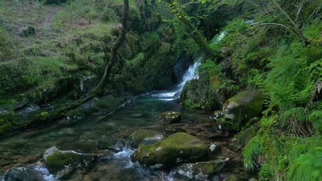 Rocas-Cubiertas-De-Musgo-Con-Cascadas-En-La-Selva-Tropical-En-Santa-Leocadia-Cerca-De-Mazaricos-En-Galicia-España