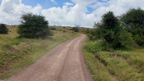 Unbefestigte-Safaristraße-In-Einem-Nationalpark