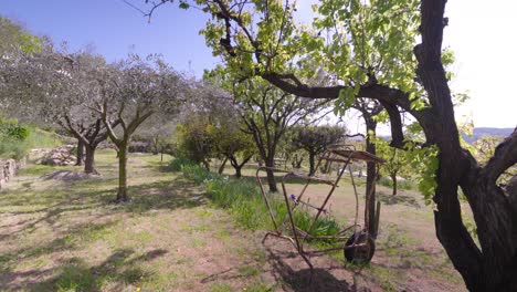 Toma-De-Establecimiento-Lento-De-árboles-En-Flor-En-El-Jardín-De-Una-Villa-En-Francia.