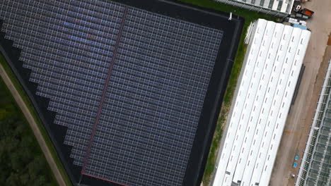 Solar-panel-farm-generating-energy-for-massive-industrial-greenhouses,-aerial-drone-view