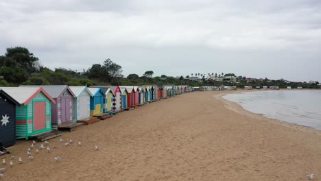 Drone-Aeriel-Footage-at-Brighton-Beach-Over-Colourful-Beach-Houses---82-distinctive-Bathing-Boxes-Port-Phillip-Bay-Melbourne-Victoria-Australia