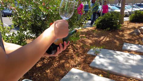 Sabreando-Una-Botella-De-Vino-De-Champán-Usando-Una-Copa-De-Vino-Transparente-En-Un-Hermoso-Día-Soleado-Bajo-La-Sombra-De-Un-árbol