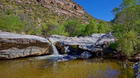 Slow-motion-pan-left-of-golden-water-and-saguaro-cacti-at-Sabino-Canyon-waterfall