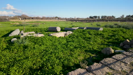 Grüne-Rasenfläche-Mit-Alten-Steinruinen,-Darunter-Säulen-Und-Große-Steinblöcke,-Unter-Einem-Klaren-Himmel-In-Paphos