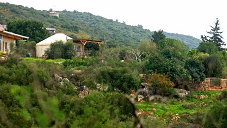 A-yurt-tent-in-Klil-northern-israel-bed-and-breakfast