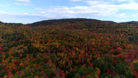Slow-moving-aerial-drone-shot-over-a-forest-of-colorful-aspen-trees