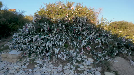 A-dense-bush-covered-with-numerous-tied-pieces-of-cloth-and-ribbons,-likely-representing-a-wishing-tree-or-similar-cultural-practice,-surrounded-by-stones