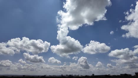 Paisaje-De-Un-Parque-Nacional-Y-El-Horizonte-De-La-Ciudad-En-Segundo-Plano