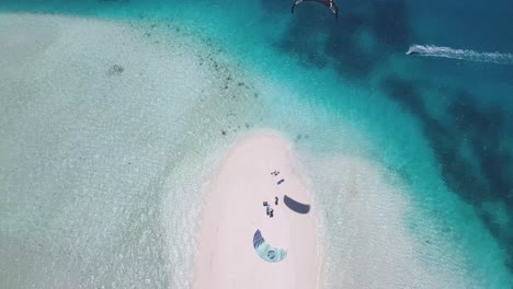 Schwarzmilan-Steht-Am-Weißen-Sandstrand-Der-Karibik-Auf-Der-Insel-Salina,-Los-Roques,-Venezuela