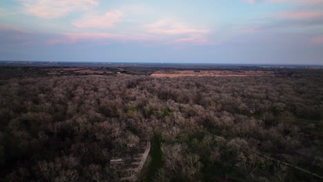 Vista-Panorámica-De-Los-árboles-De-Los-Bosques-De-Tierras-Bajas-En-El-Parque-Nacional-Durante-La-Puesta-De-Sol.