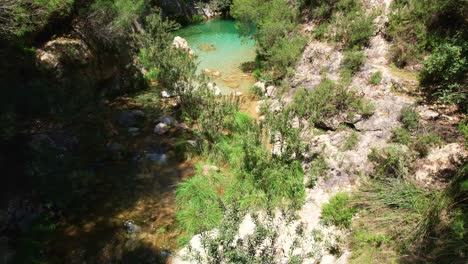 Fluss-Mit-Farbenfrohem-Grünem-Wasser