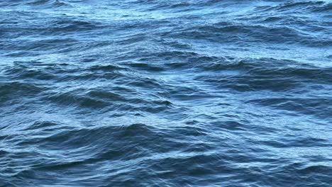 Close-up-of-deep-blue-ocean-waves-under-natural-light,-gentle-movements-and-ripples