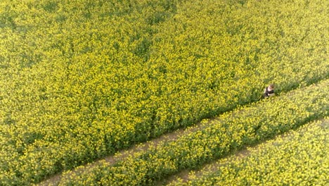 Woman-runs-in-a-field-of-yellow-flowers