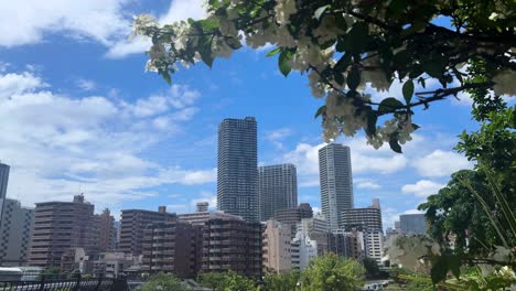 Urban-skyline-with-modern-skyscrapers-framed-by-blooming-trees-on-a-sunny-day,-clouds-float-in-a-blue-sky