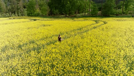 Happy-girl-walks-through-a-yellow-field
