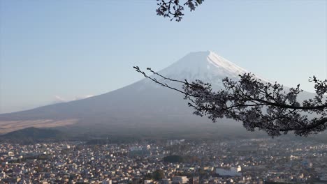 Mountain-Fuji-in-spring-,Cherry-blossom-Sakura,-japan