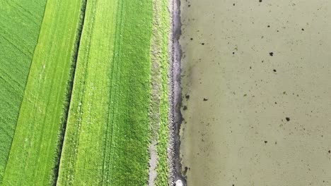 Aerial-footage-of-a-dyke-protecting-against-the-sea-in-the-Netherlands