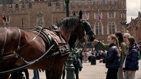 Young-Women-Petting-Horses-At-The-Market-Square-In-Bruges,-Belgium