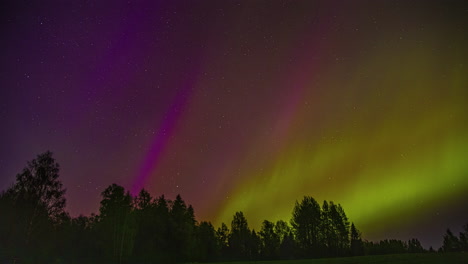 Aurora-borealis-time-lapse-against-alpine-tree-silhouettes-at-night