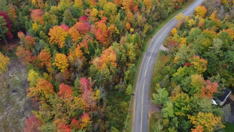 Herbstwald-Mit-Straßen-Und-Häusern