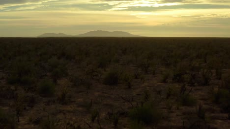 Sunset-over-vast-dry-Baja-California-desert-with-golden-sky,-drone-dolly-riser