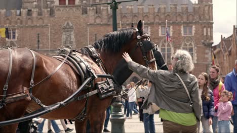 Tourists-Petting-Horses-At-Market-Square-In-Bruges,-Belgium