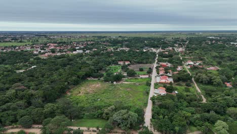 Lienzo-De-Campo:-Pintar-Cuadros-Con-Vegetación-Arriba