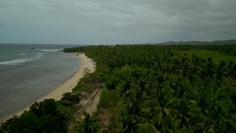 Palm-trees-by-sand-beach-and-open-ocean-in-Philippines,-forward-aerial