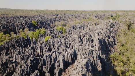 Luftaufnahme-Von-Big-Tsingy-De-Bemaraha-Per-Drohne---Wunderschöne-Felsformation-Im-Nationalpark-In-Madagaskar