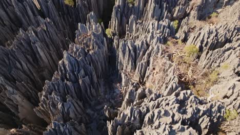 Aerial-drone-view-of-beautiful-big-Tsingy-de-Bemaraha---stone-formation-and-huge-national-park-in-Madagascar