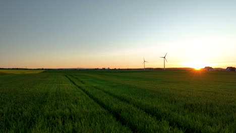 Aerial-view-of-expansive-green-fields-at-sunset-with-wind-turbines-on-the-horizon