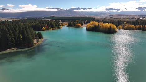 Árboles-En-El-Lago-Ruataniwha-Y-Alrededores-De-Montaña,-Paisaje-Natural,-Temporada-De-Otoño-En-Nueva-Zelanda.
