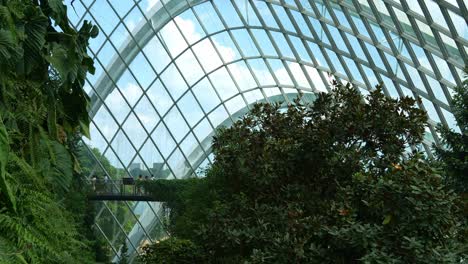 Tilt-down-shot-capturing-people-stroll-along-the-cloud-forest-aerial-walkway,-the-greenhouse-conservatory-offers-a-stunning-view-of-the-blue-sky-and-indoor-greenery,-Gardens-by-the-Bay