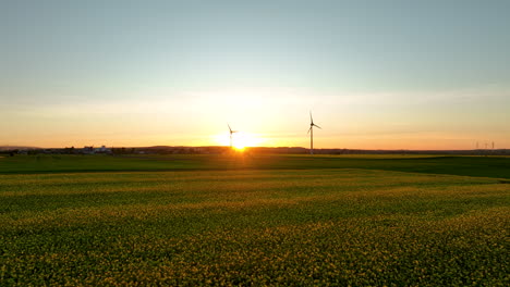 Luftaufnahme-Von-Grünen-Feldern-Mit-Windturbinen-Bei-Sonnenuntergang