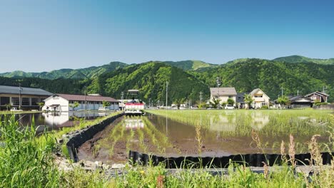 Reisbauer-Pflanzt-Reis-Auf-Dem-Feld-In-Den-Bergen-Japans