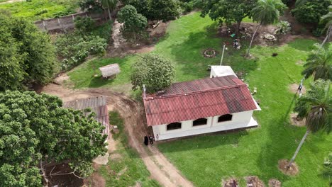 Cuadro-De-Campo:-Pintar-Cuadros-Con-Vegetación-Debajo